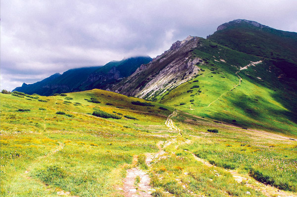 手机号在线轰炸